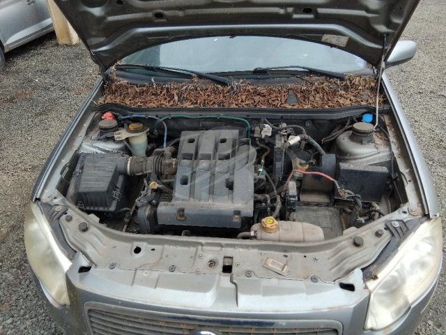Foto 7 de 7: FIAT/PALIO ELX FLEX, 09/10