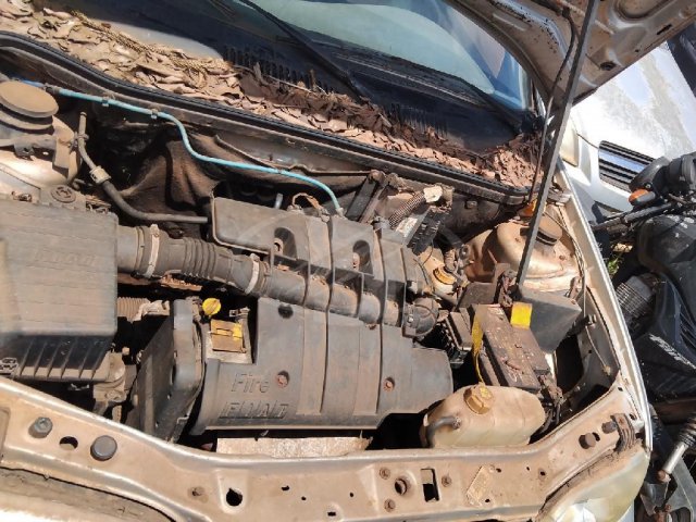 Foto 3: FIAT/PALIO FIRE, 03/04