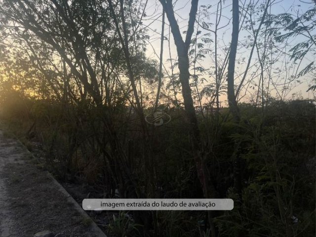 Terreno no Ferreiro Torto – Zona Rural (foto 12 de 15)