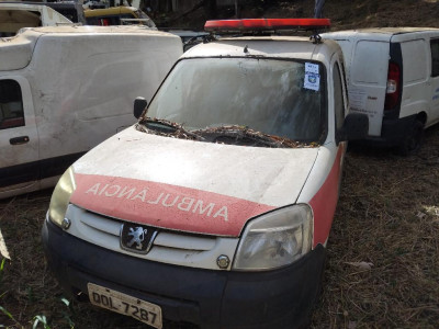 I/PEUGEOT PART GREENCAR, 17/18