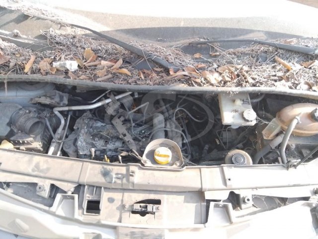 RENAULT/M REVESCAP L3H2 — foto 7 de 11