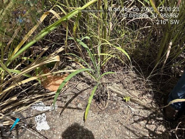Terreno no Ipanema (foto 6 de 6)