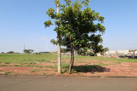 Lote 0014: terreno nº 03 com 300m² no jardim novo amanhecer