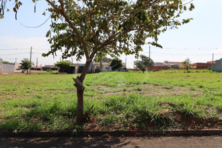 Lote 0020: terreno nº 19 com 300m² no jardim novo amanhecer