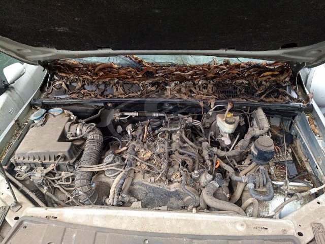 Foto 3: I/VW AMAROK CD 4X4 HIGH, 13/13