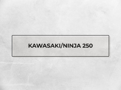 Kawasaki/Ninja 250R, 10/10